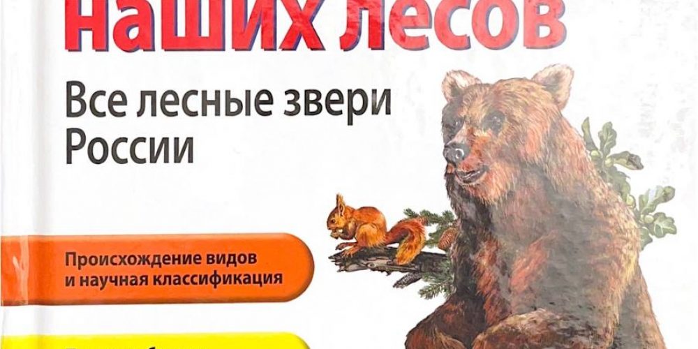 Школьник Ю.К. «Животные наших лесов»