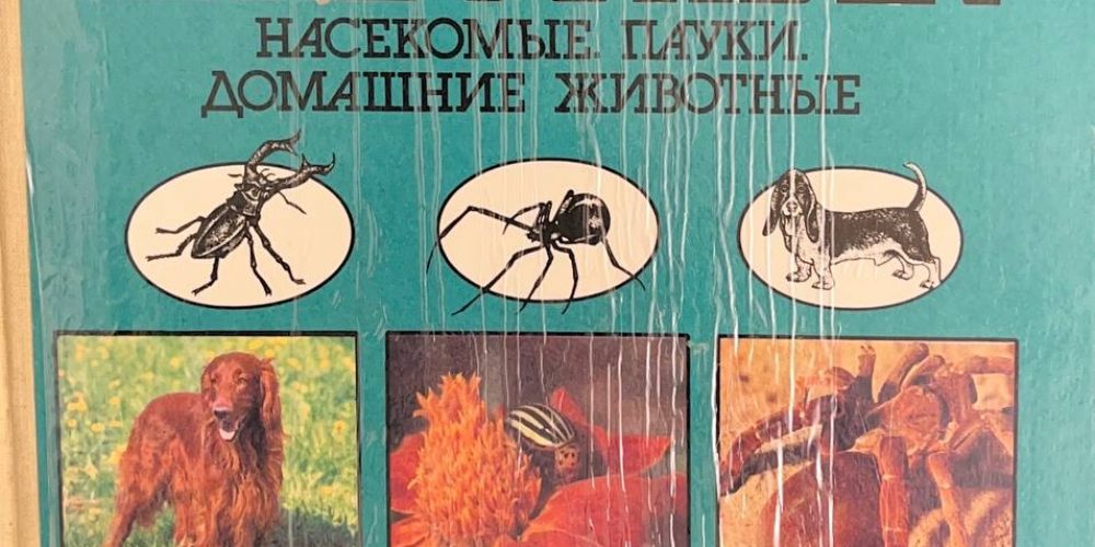 Акимушкин И.И. «Мир животных. Насекомые. Пауки. Домашние животные»