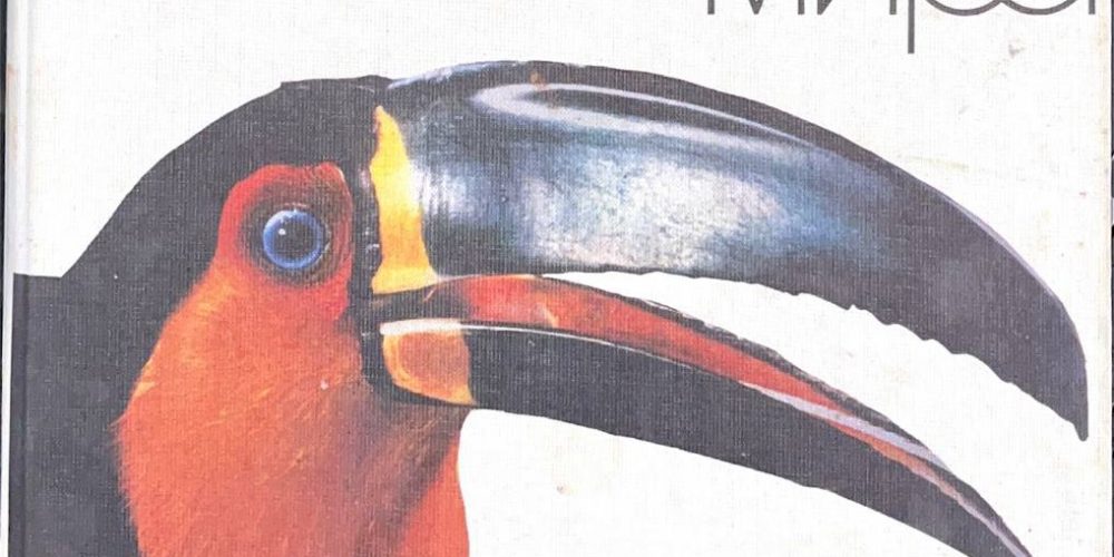 «Фауна мира «Птицы»