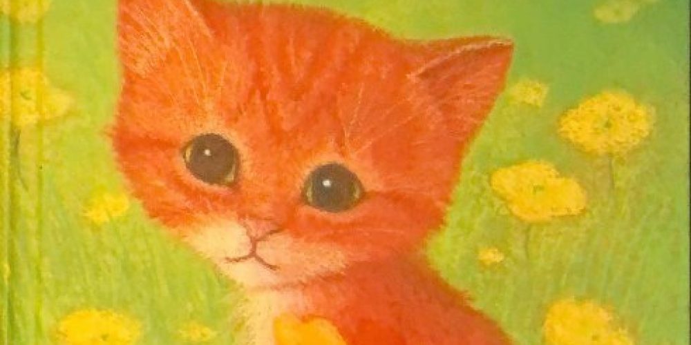 Вебб Холли «Котенок Рыжик или как найти сокровище»